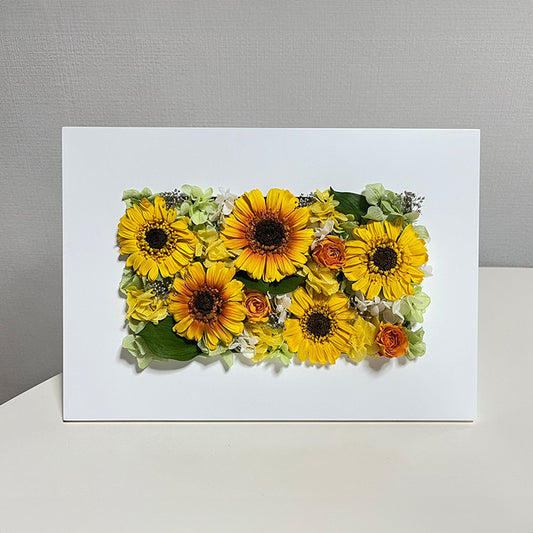 フレームM（ガーベラ）